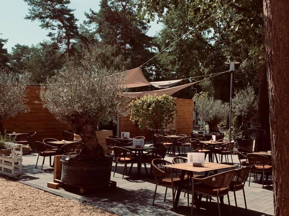 Bospark De Brenkberg Schinveld Eksteriør billede