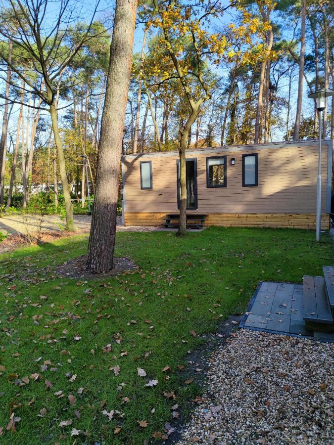 Bospark De Brenkberg Schinveld Eksteriør billede