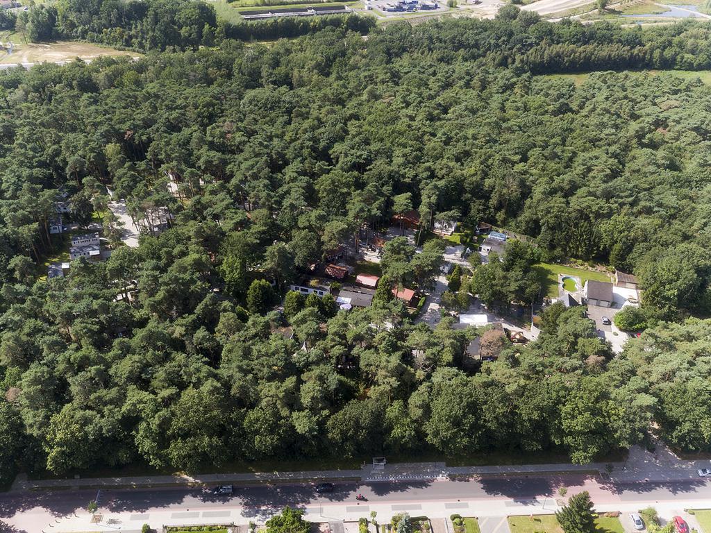 Bospark De Brenkberg Schinveld Eksteriør billede
