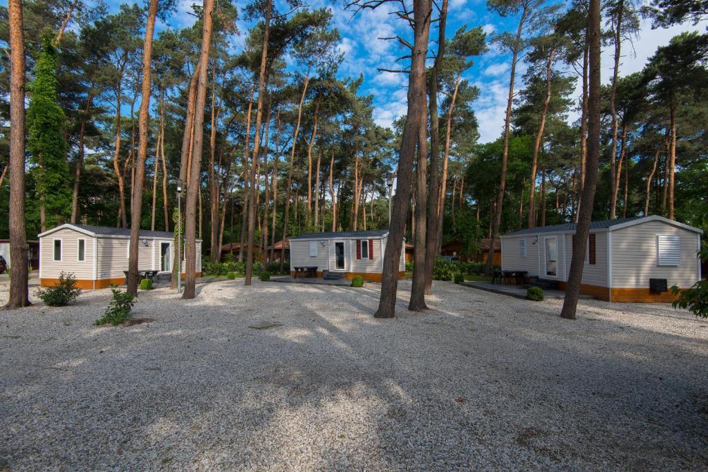Bospark De Brenkberg Schinveld Værelse billede